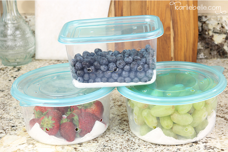 Produce Saver Container